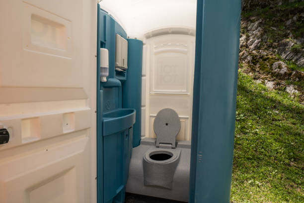 Best Affordable portable toilet rental  in Luray, VA